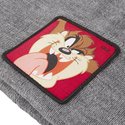 capslab-tasmanian-devil-bon-taz2-looney-tunes-grey-beanie