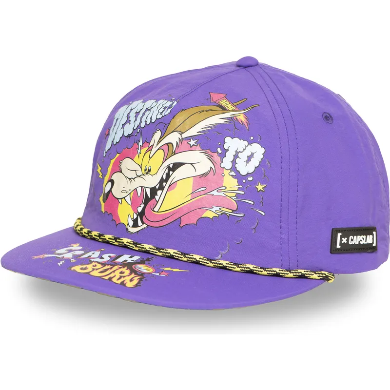 capslab-flat-brim-wile-e-coyote-loo13-dtcb-looney-tunes-purple-snapback-cap