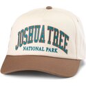 american-needle-curved-brim-roscoe-joshua-tree-national-park-brown-snapback-cap